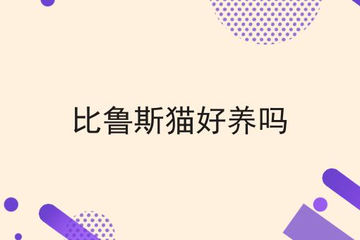 比鲁斯猫好养吗