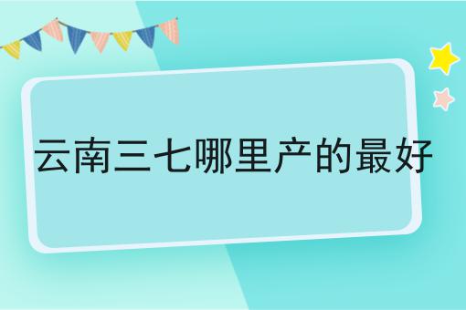 云南三七哪里产的最好