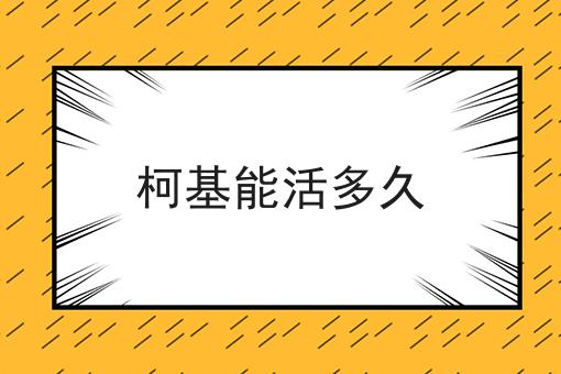 柯基能活多久