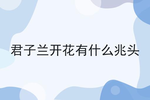 君子兰开花有什么兆头