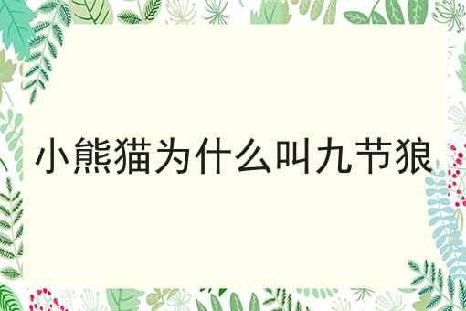 小熊猫为什么叫九节狼