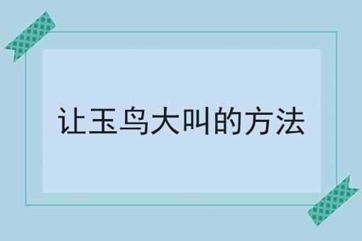 让玉鸟大叫的方法