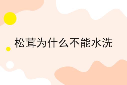 松茸为什么不能水洗