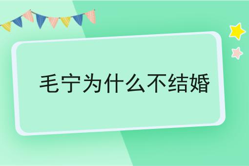 毛宁为什么不结婚