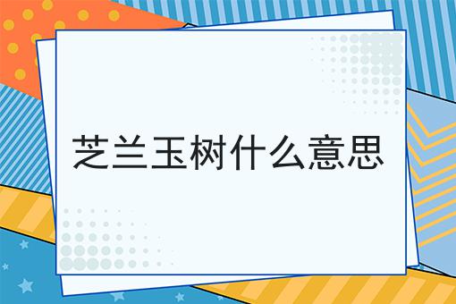 芝兰玉树什么意思