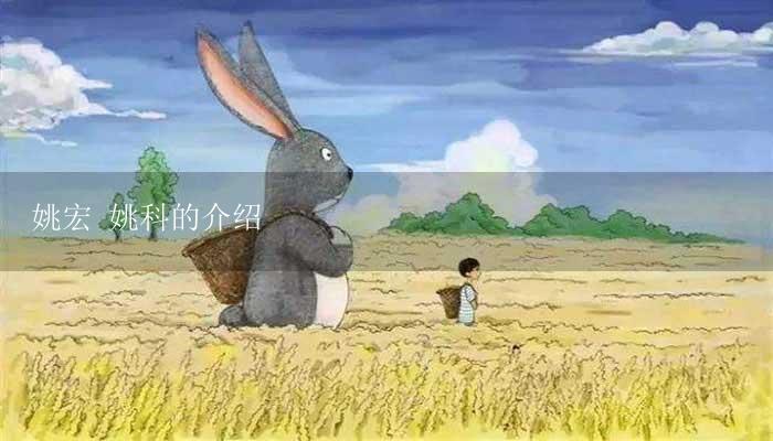 姚宏 姚科的介绍-17攻略