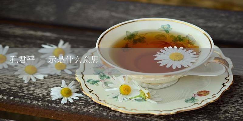 孔君平 一示是什么意思-17攻略