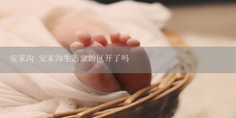 安家沟 安家沟生态旅游区开了吗-17攻略