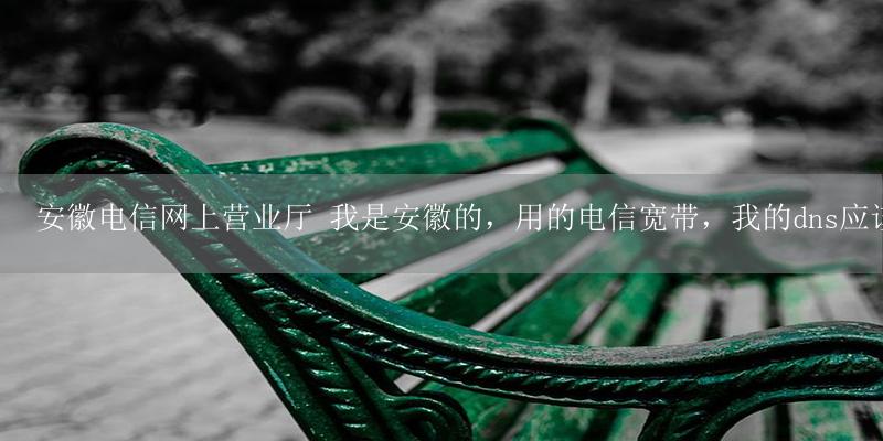 安徽电信网上营业厅 我是安徽的,用的电信宽带,我的dns应该设置成什么啊-17攻略