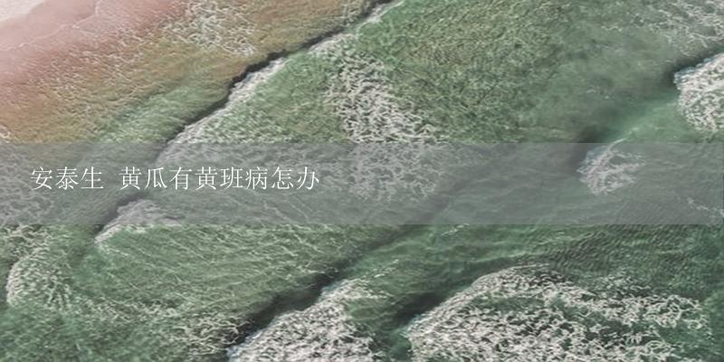 安泰生 黄瓜有黄班病怎办-17攻略