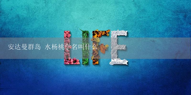 安达曼群岛 水杨桃学名叫什么-17攻略