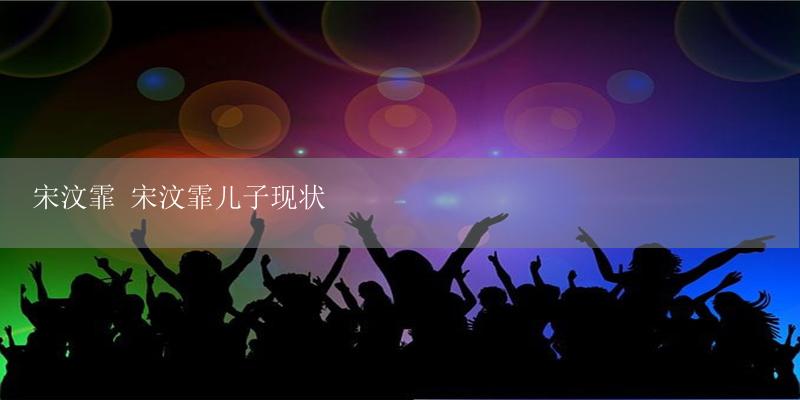 宋汶霏 宋汶霏儿子现状-17攻略