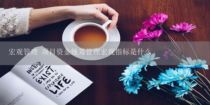 宏观管理 项目资金统筹管理宏观指标是什么-17攻略