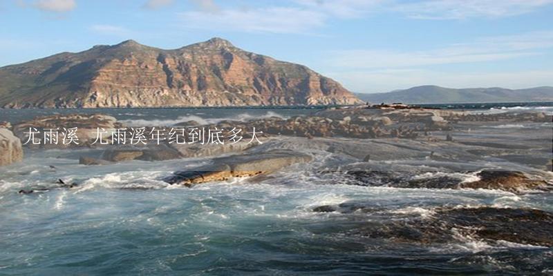 尤雨溪 尤雨溪年纪到底多大-17攻略