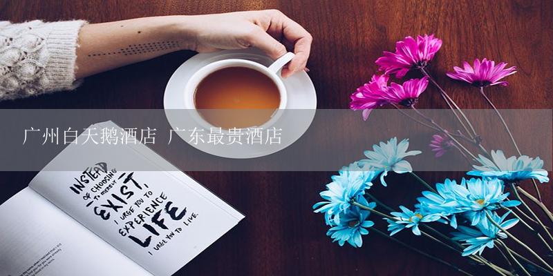 广州白天鹅酒店 广东最贵酒店-17攻略