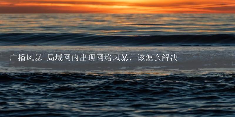 广播风暴 局域网内出现网络风暴,该怎么解决-17攻略