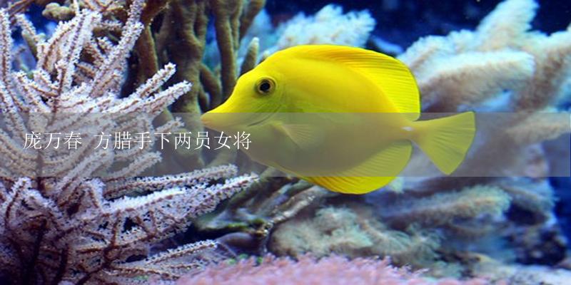 庞万春 方腊手下两员女将-17攻略