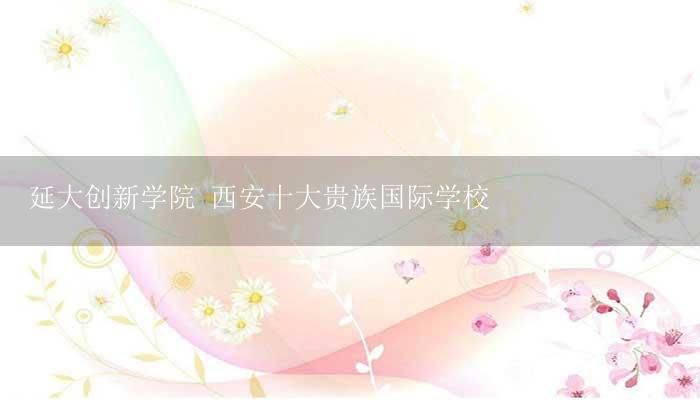 延大创新学院 西安十大贵族国际学校-17攻略