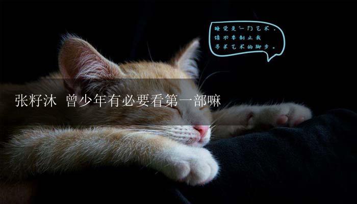 张籽沐 曾少年有必要看第一部嘛-17攻略