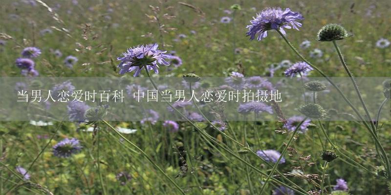 当男人恋爱时百科 中国当男人恋爱时拍摄地-17攻略