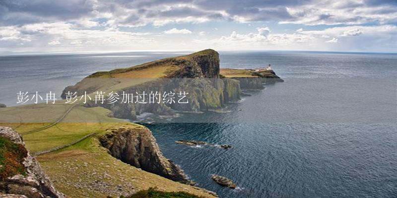 彭小冉 彭小苒参加过的综艺-17攻略