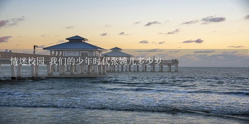 情迷校园 我们的少年时代张婉儿多少岁-17攻略
