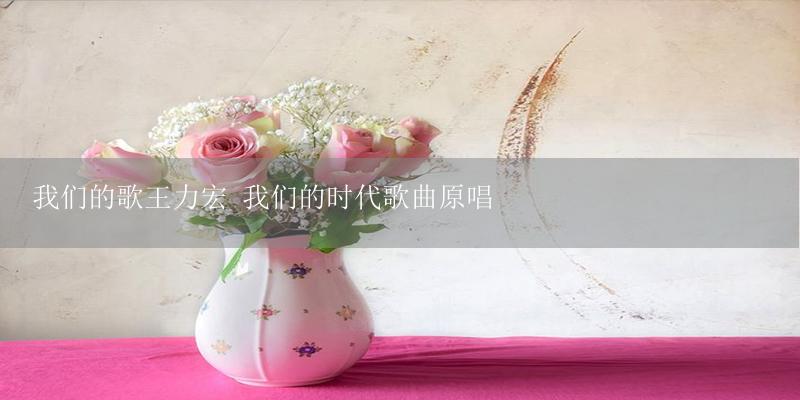 我们的歌王力宏 我们的时代歌曲原唱-17攻略