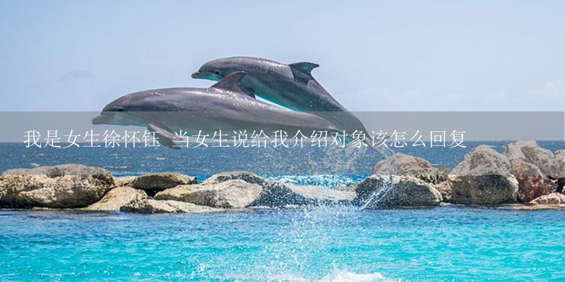我是女生徐怀钰 当女生说给我介绍对象该怎么回复-17攻略