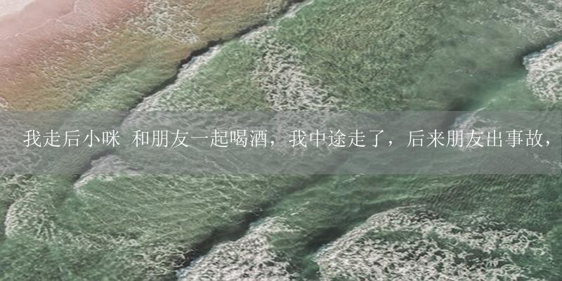我走后小咪 和朋友一起喝酒,我中途走了,后来朋友出事故,我有责任吗-17攻略