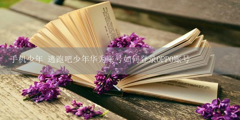 手机少年 逃跑吧少年华为账号如何登录OPPO账号-17攻略