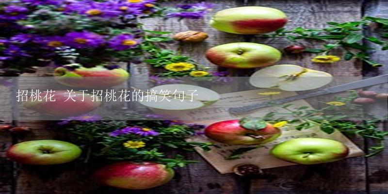 招桃花 关于招桃花的搞笑句子-17攻略