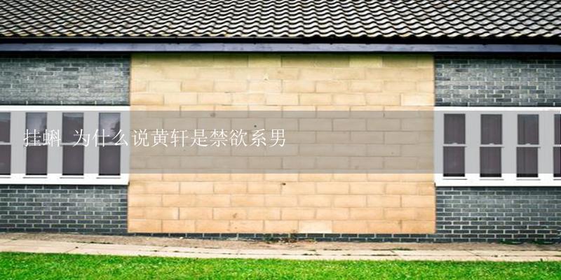 挂蝌 为什么说黄轩是禁欲系男-17攻略