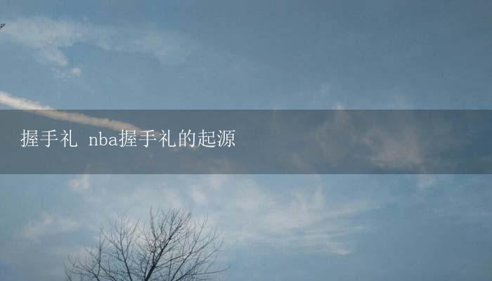 握手礼 nba握手礼的起源-17攻略