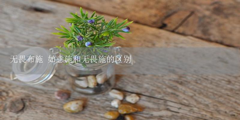 无畏布施 如意施和无畏施的区别-17攻略