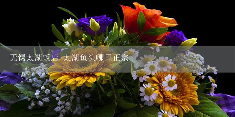无锡太湖饭店 太湖鱼头哪里正宗-17攻略