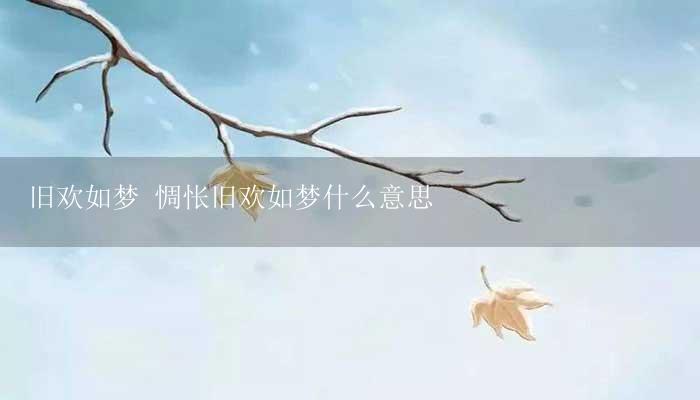 旧欢如梦 惆怅旧欢如梦什么意思-17攻略