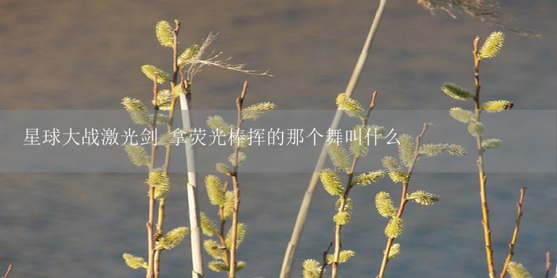 星球大战激光剑 拿荧光棒挥的那个舞叫什么-17攻略