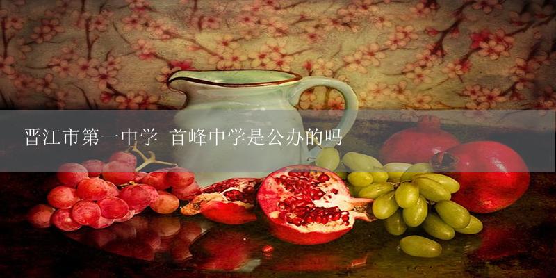 晋江市第一中学 首峰中学是公办的吗-17攻略