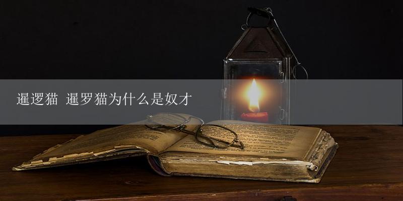 暹逻猫 暹罗猫为什么是奴才-17攻略