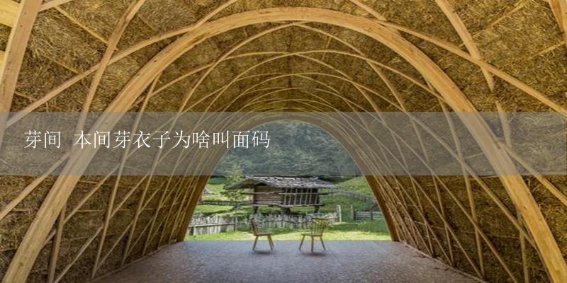 芽间 本间芽衣子为啥叫面码-17攻略