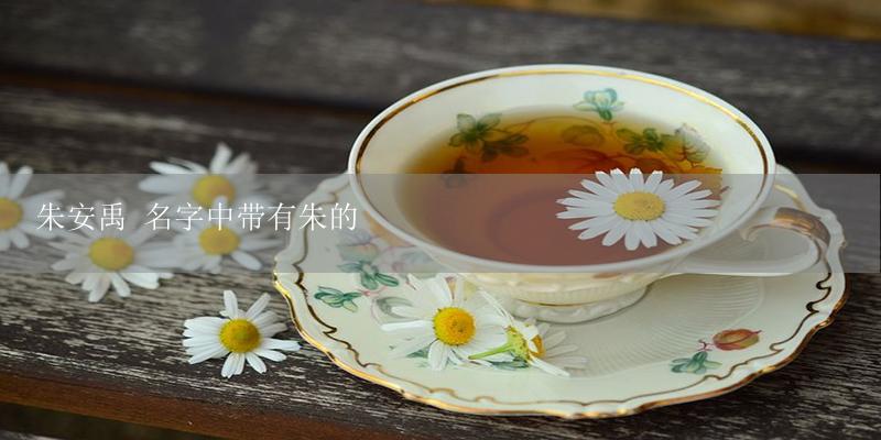 朱安禹 名字中带有朱的-17攻略