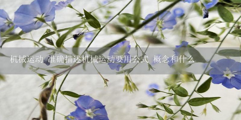 机械运动 准确描述机械运动要用公式 概念和什么-17攻略