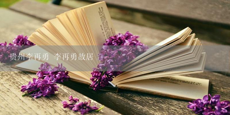 贵州李再勇 李再勇故居-17攻略