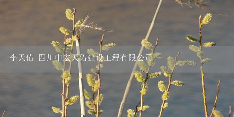 李天佑 四川中宏天佑建设工程有限公司-17攻略
