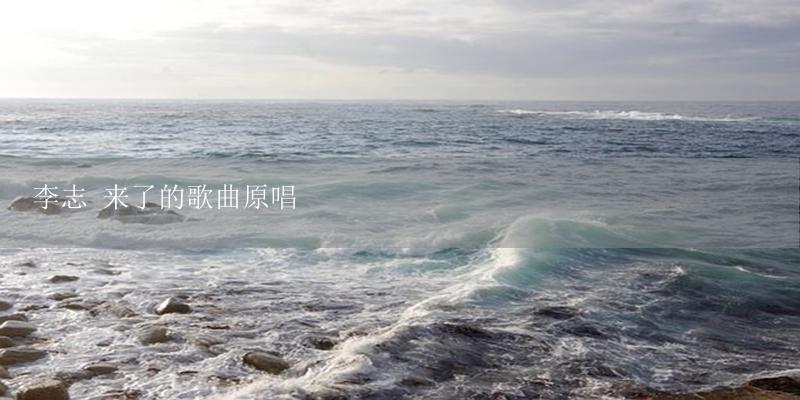 李志 来了的歌曲原唱-17攻略