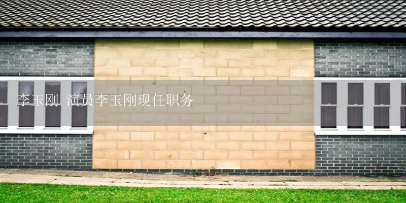 李玉刚 演员李玉刚现任职务-17攻略