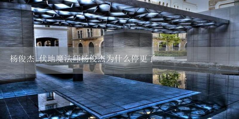 杨俊杰 伏地魔法师杨俊杰为什么停更了-17攻略