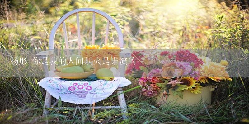 杨彤 你是我的人间烟火是谁演的-17攻略