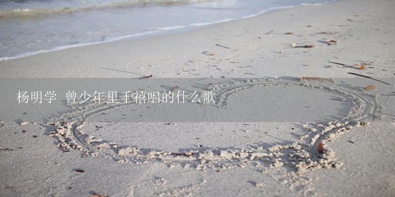 杨明学 曾少年里千禧唱的什么歌-17攻略
