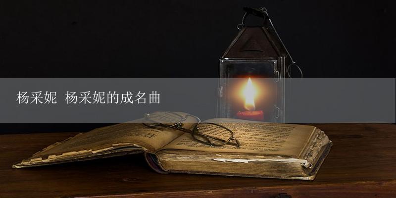 杨采妮 杨采妮的成名曲-17攻略